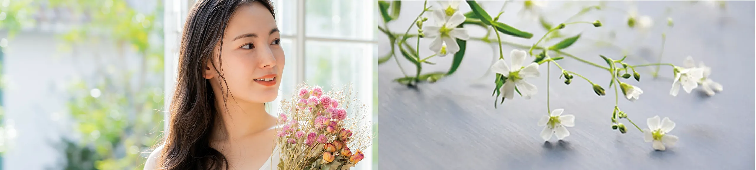 会員限定！2025年7月のお得情報