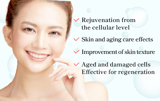 줄기세포 상청액 주입