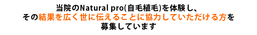 募集中