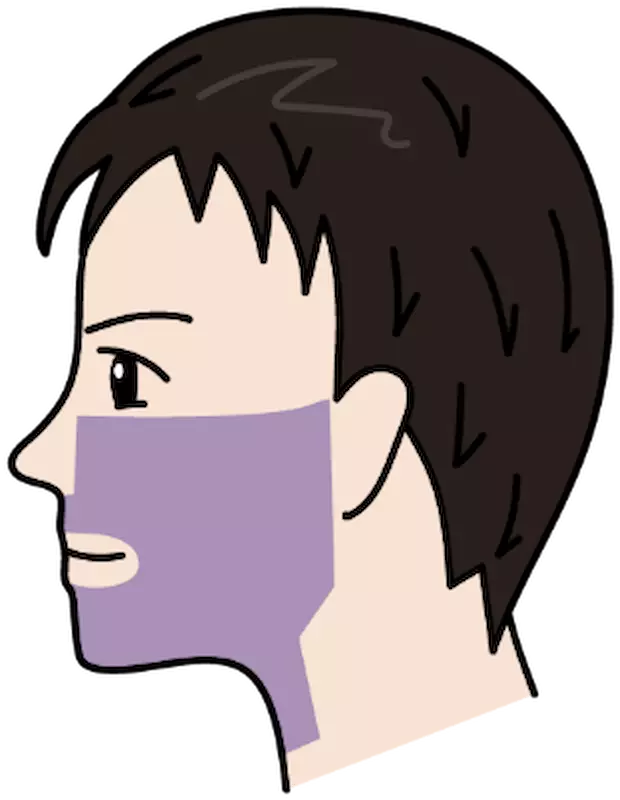Hair Loss Range Horizontal Image