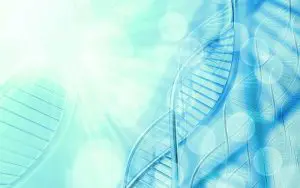 ネフロン癆（Nephronophthisis） 1 型(欠失2q13)