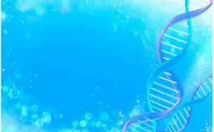 着床前診断ってなに？