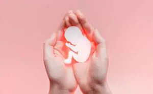 NIPT（新型出生前診断）の適切な時期