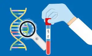 NIPT（新型出生前診断）検査結果の見方と注意点
