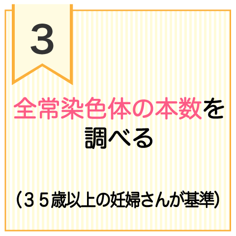 全常染色体の本数を調べる