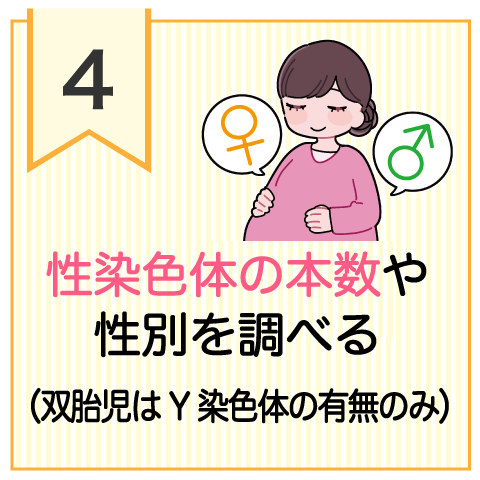 性染色体の本数や性別を調べる